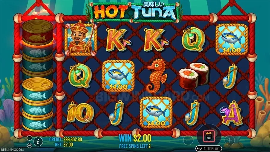 8k8 Casino Mobile App